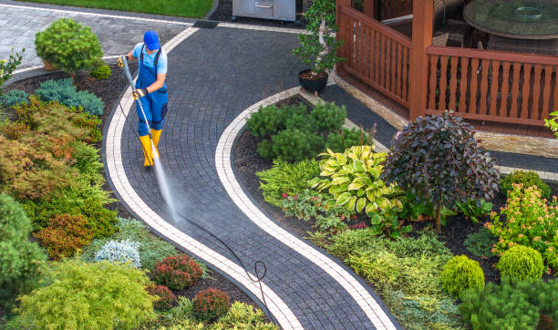 Best Best Pressure Washing Companies  in Selma, NC